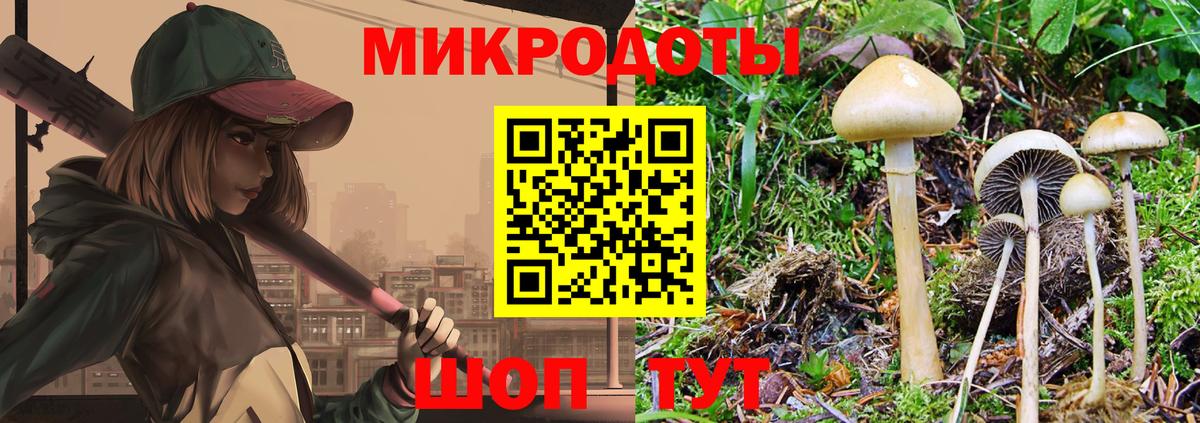 Киреевск  Псилоцибиновые грибы Psilocybe  Вход с VPN 